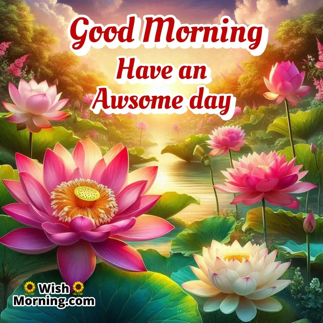 A serene lotus pond at sunrise with blooming pink and white lotus flowers, symbolizing an awesome start to the day.