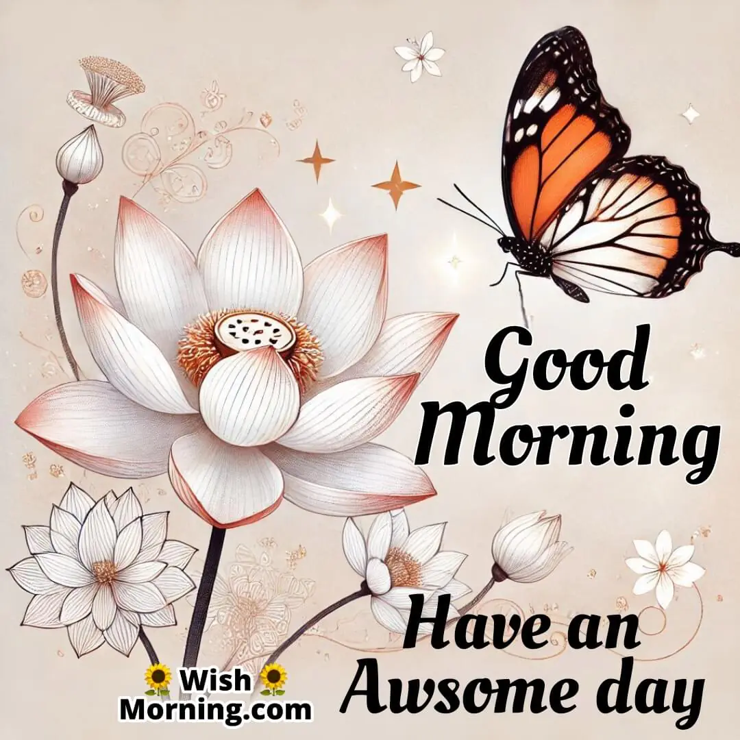 Good Morning Lotus Flower Awesome Day Image