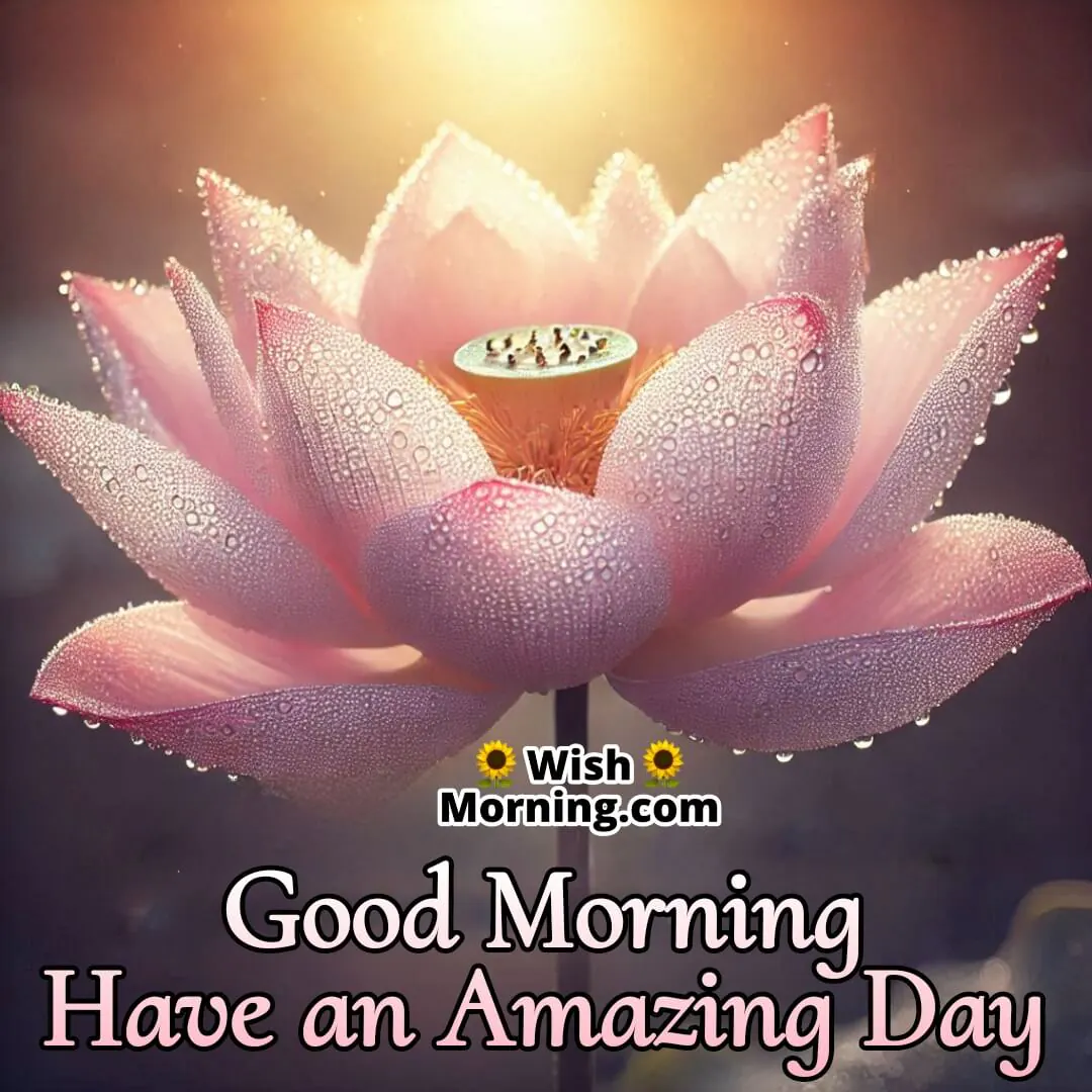 A dewy lotus flower glowing in morning light, radiating beauty for an amazing day.