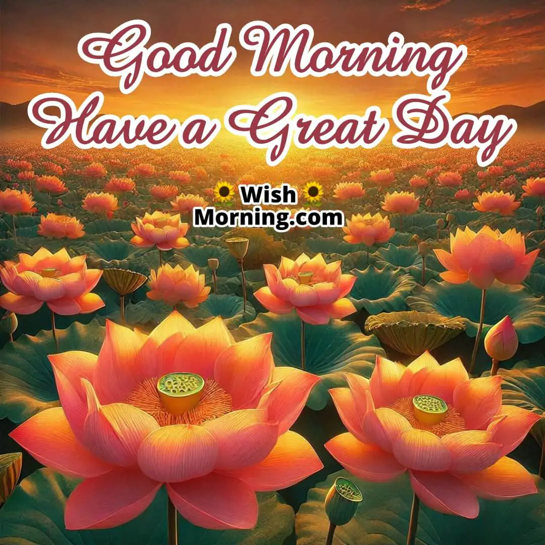 A golden sunrise over a field of lotus flowers, symbolizing a great start to the day.