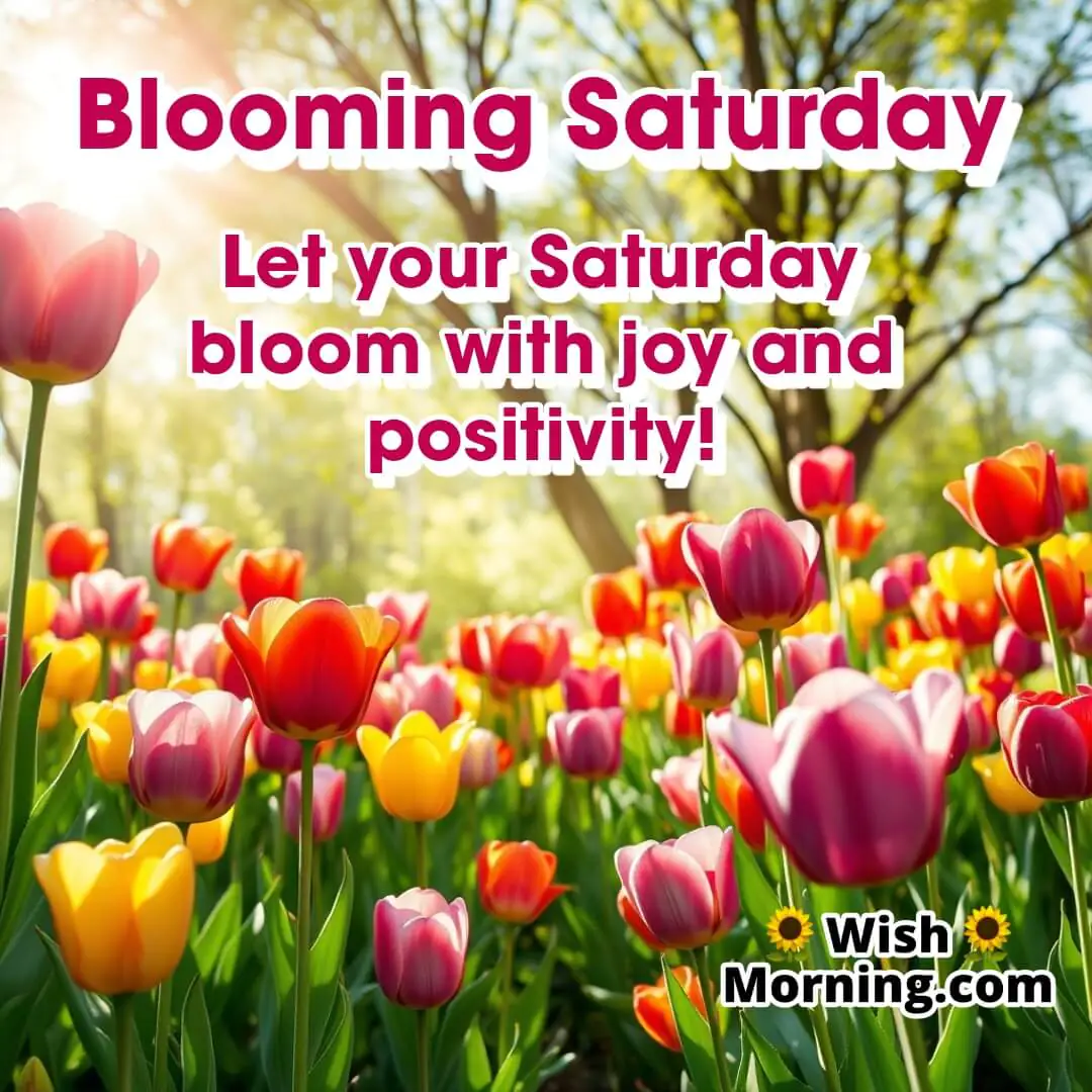 Blooming Saturday Flowers Wishes