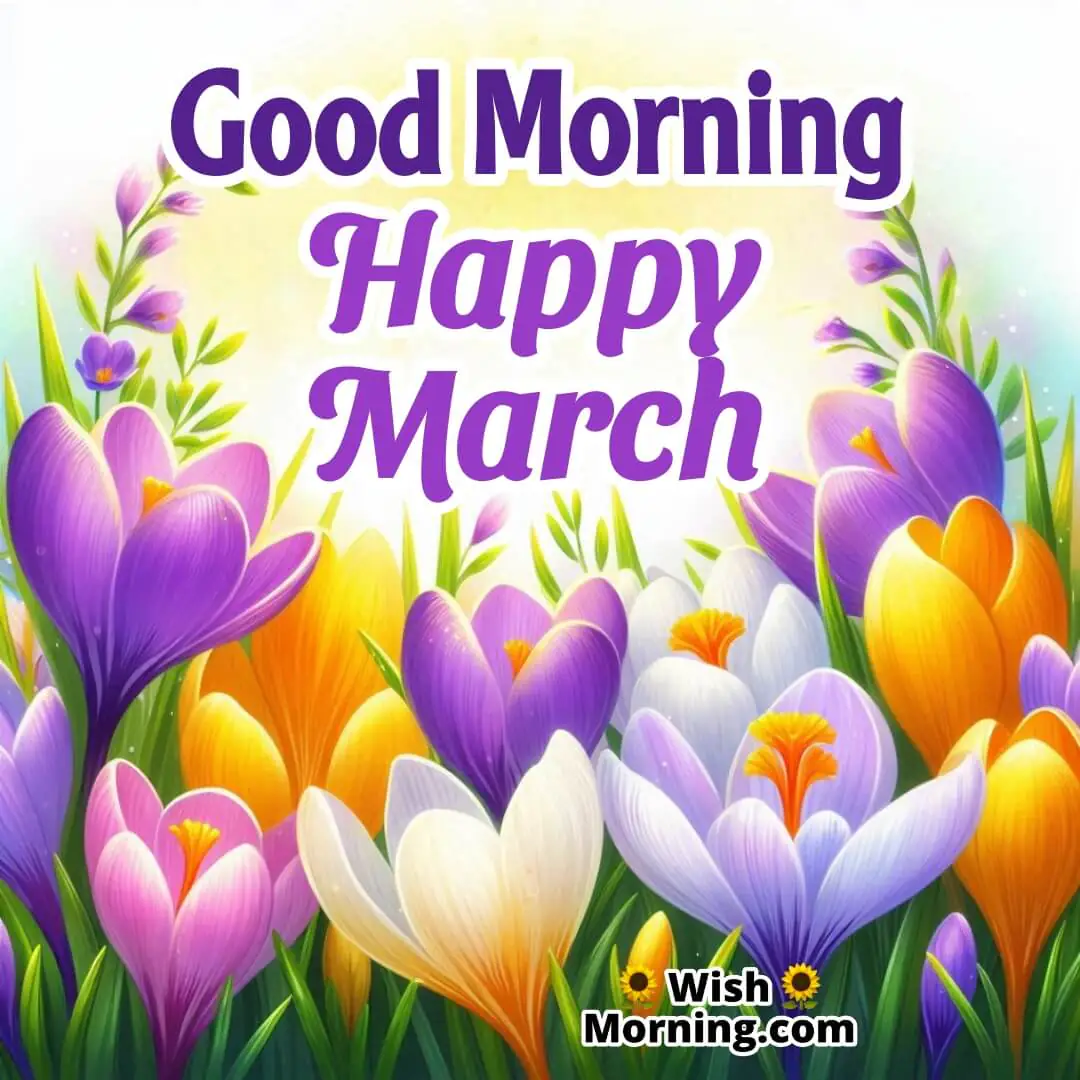 Good Morning Happy March Crocuses Flowers