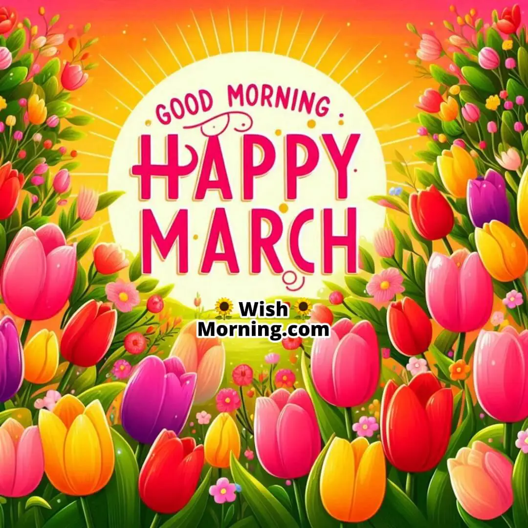 Good Morning Happy March Tulips Flowers