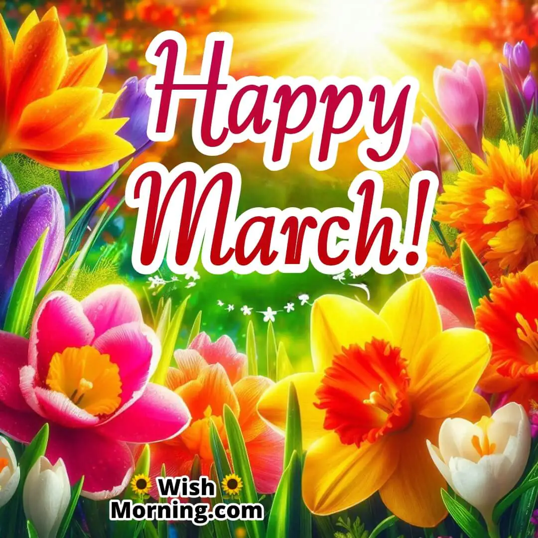 Happy March Blooming Flowers In Garden Pic