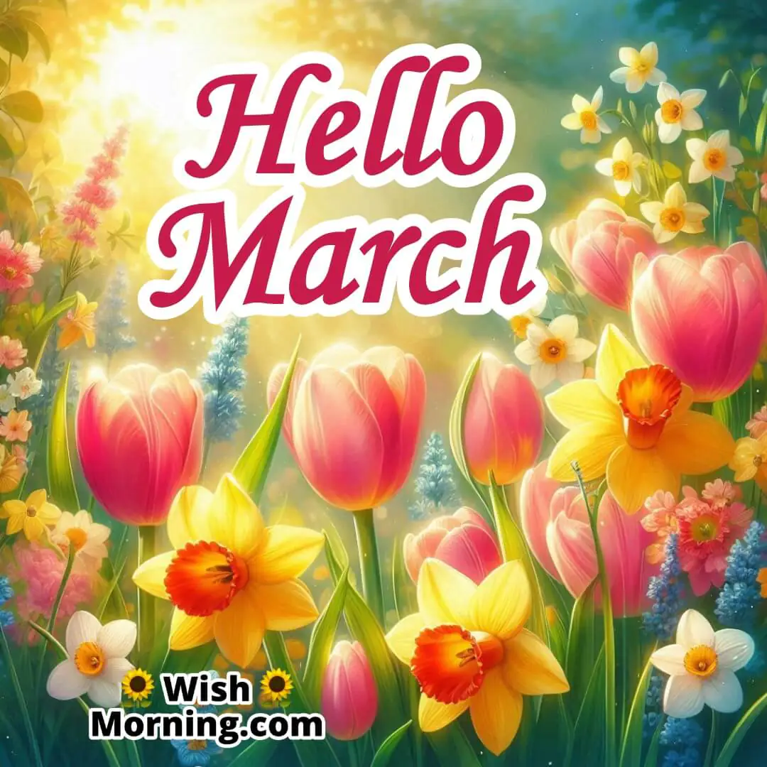 Hello March Blooming Flowers