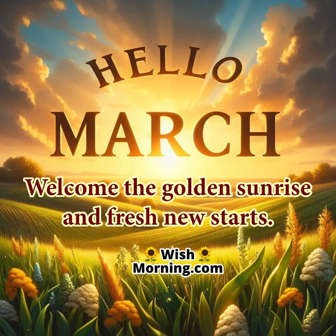 Hello March Golden Sunrise Over Green Fields Image