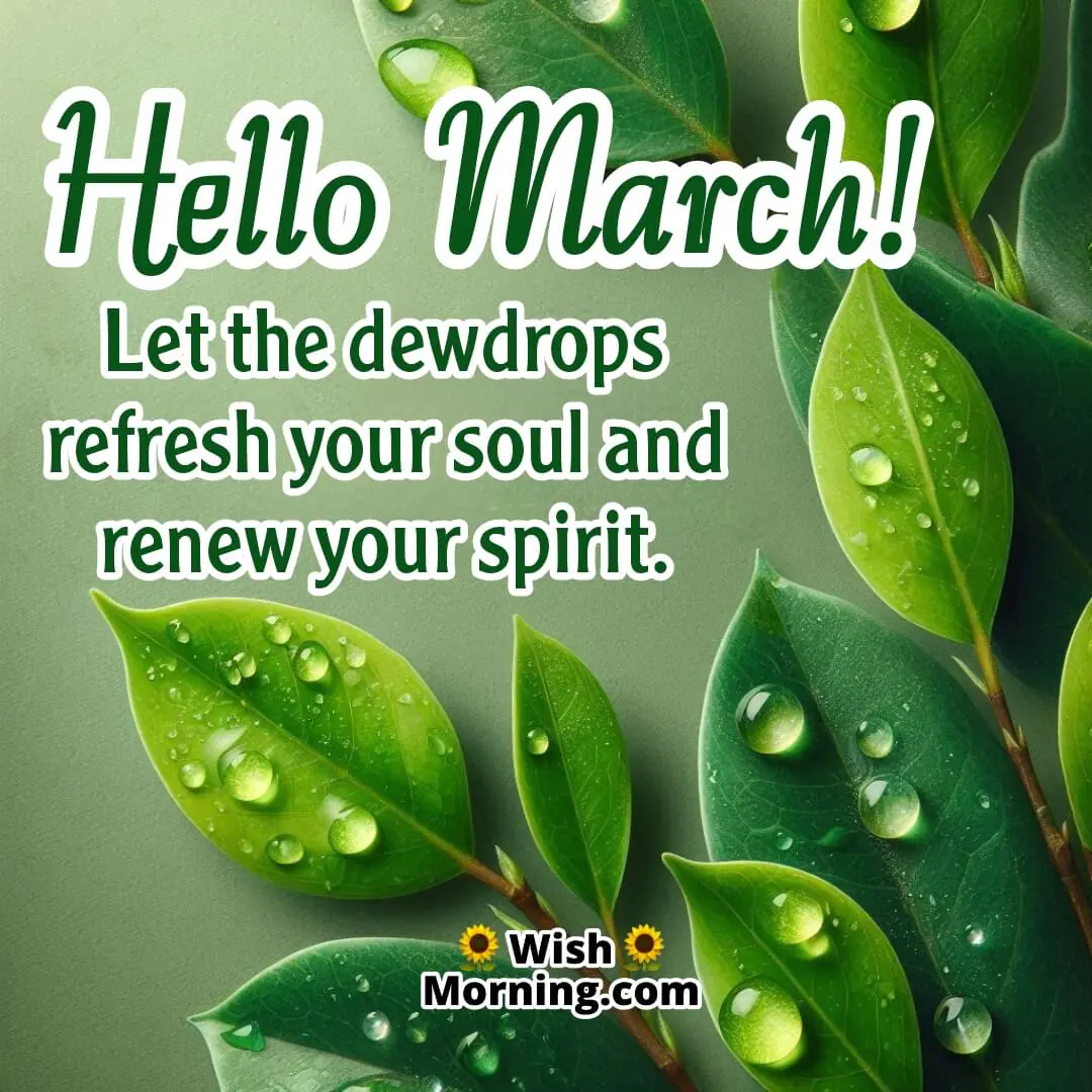 Hello March Rain Kissed Green Leaves Picture