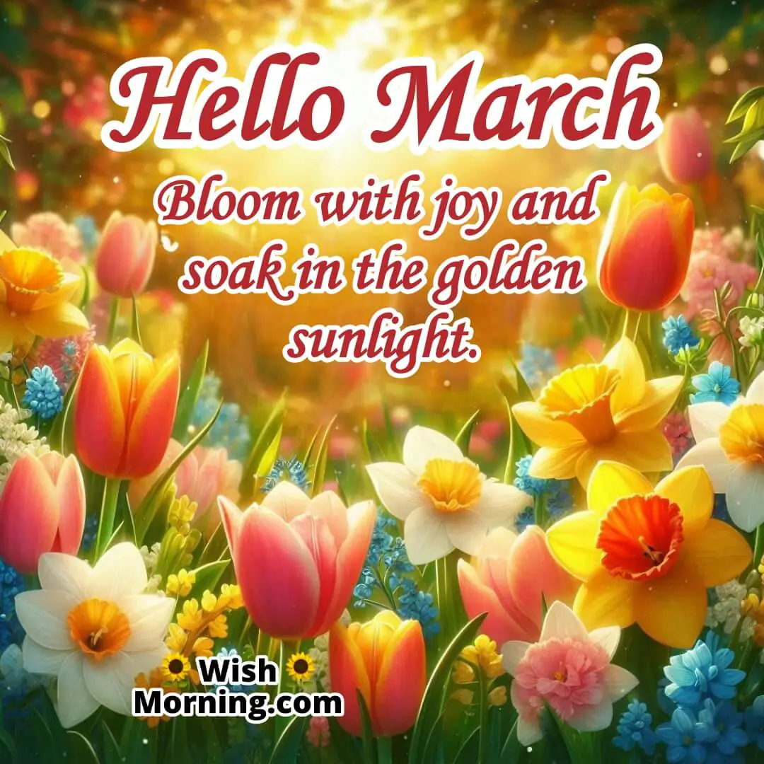 Hello March Spring Flowers And Sunshine Image