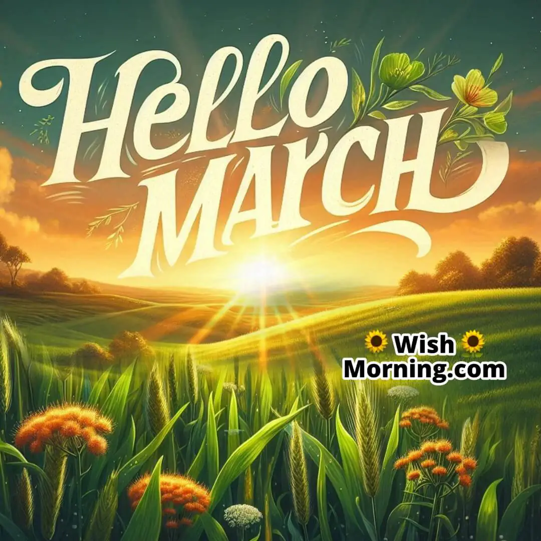 Hello March Sunrise Over A Meadow