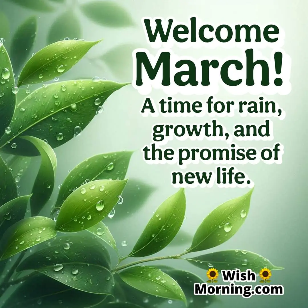 Close-up of vibrant green leaves with glistening raindrops, reflecting the freshness and growth that March rains bring.