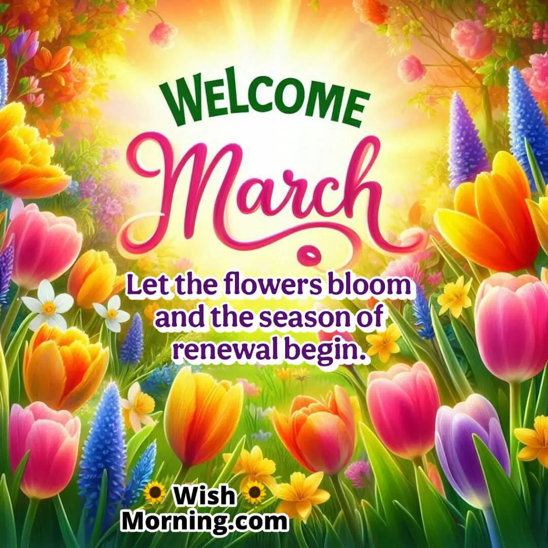 A colorful garden with blooming tulips, daffodils, and crocuses bathed in morning sunlight, symbolizing the arrival of March and the renewal of spring.