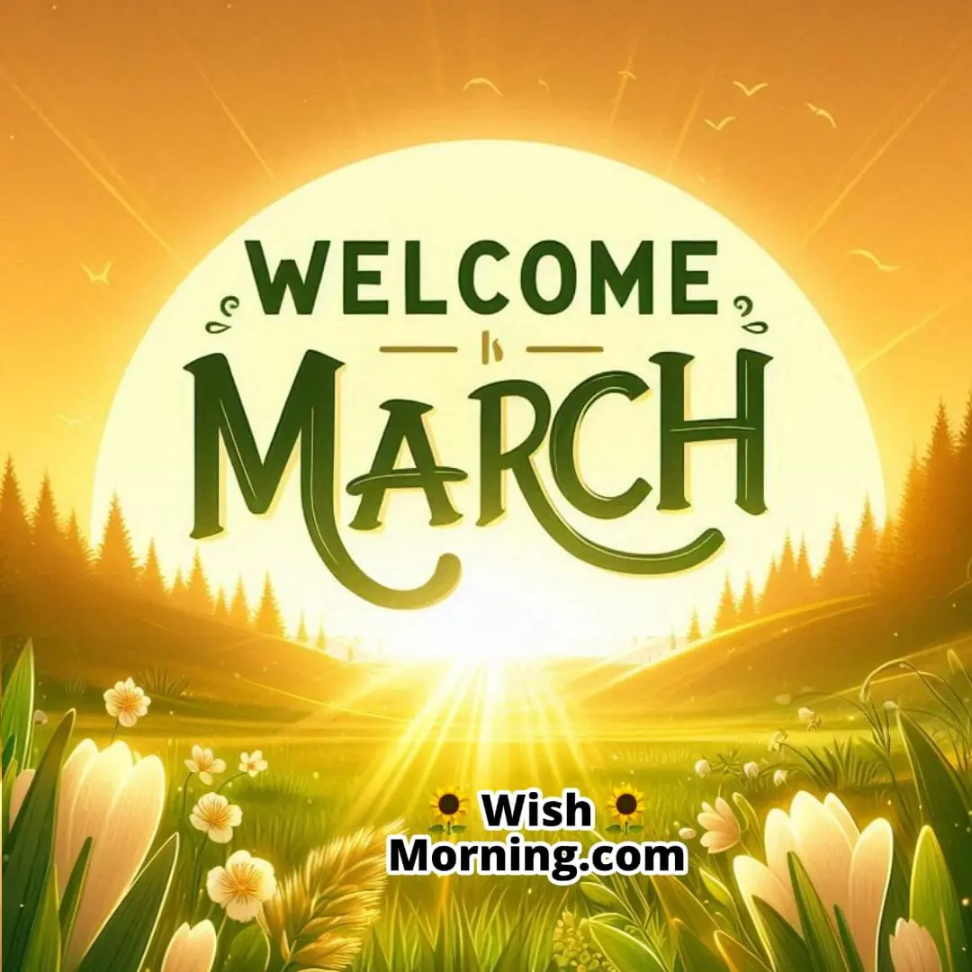 Welcome March With Sunrise Over A Green Meadow