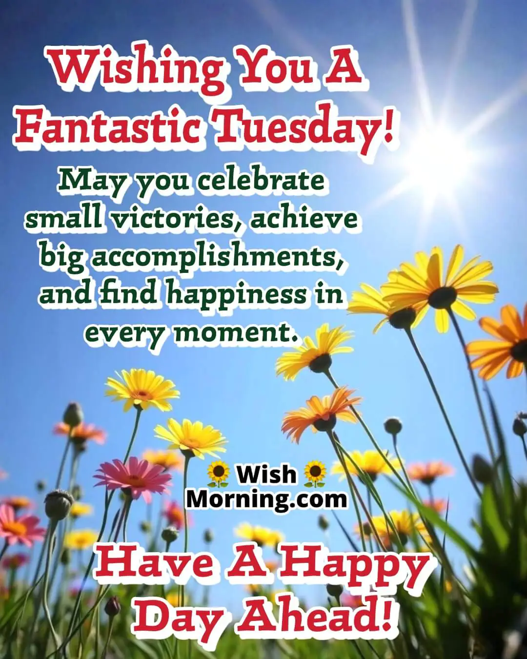 Good morning Tuesday image with a sunlit meadow and colorful wildflowers, symbolizing success and happiness.