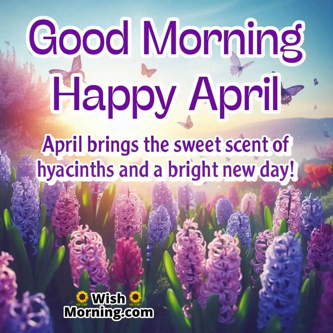 A refreshing April morning with blooming hyacinths, symbolizing gratitude and joy.