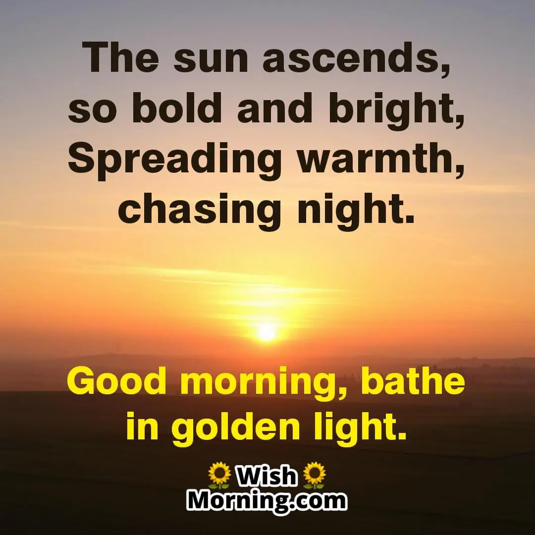 A radiant sunrise spreading golden light over peaceful fields, symbolizing a fresh and hopeful morning.