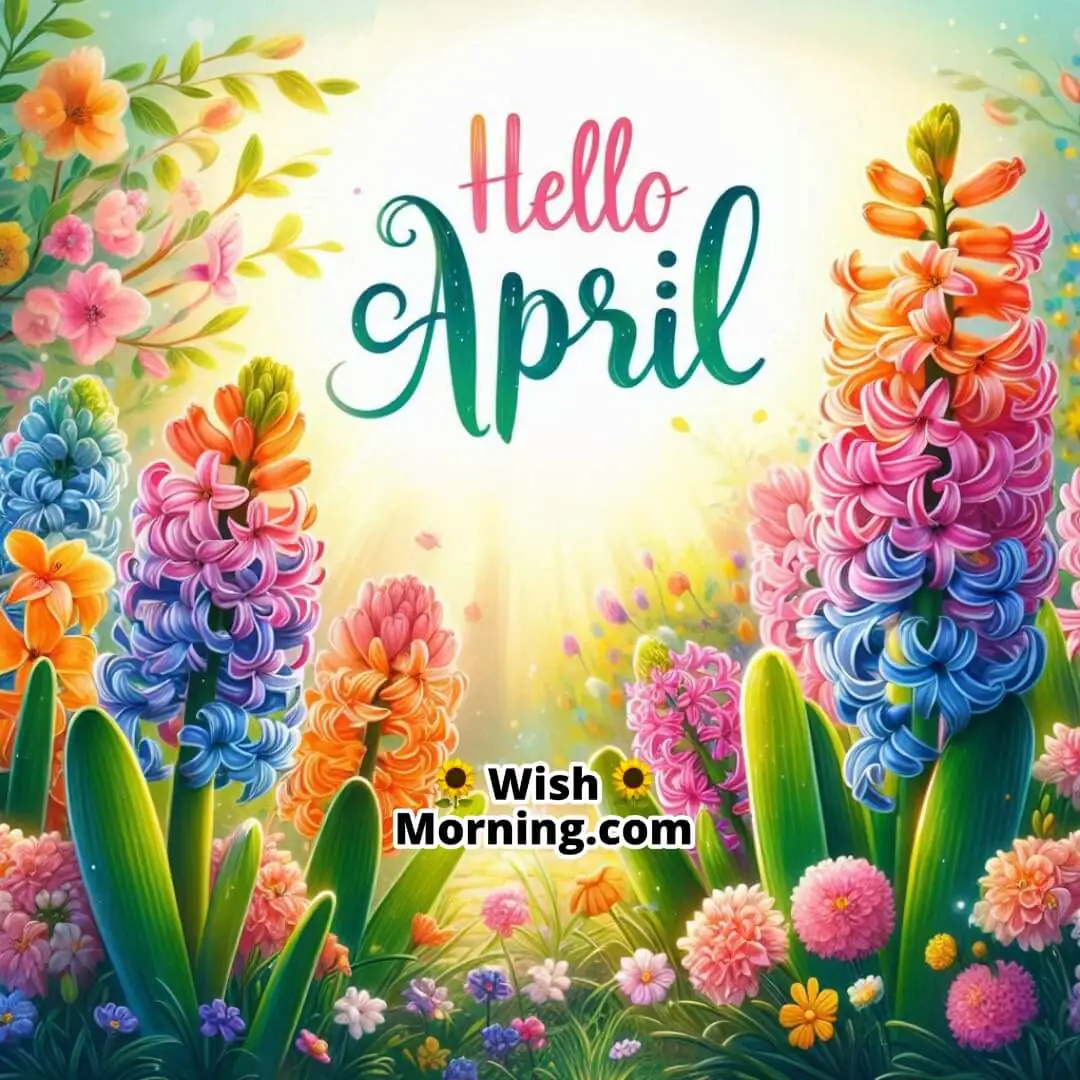 Good Morning Happy April Hyacinth Blooms