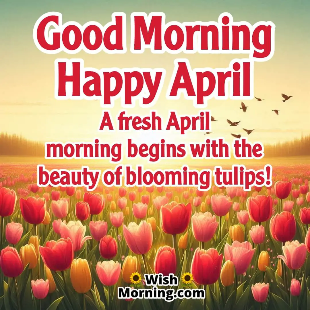 A bright and cheerful April morning with colorful tulips symbolizing new beginnings and fresh opportunities.