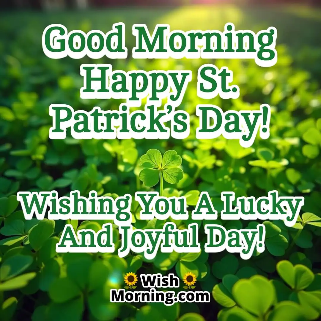A lush green field filled with clovers, symbolizing luck, prosperity, and a fresh start to St. Patrick’s Day.