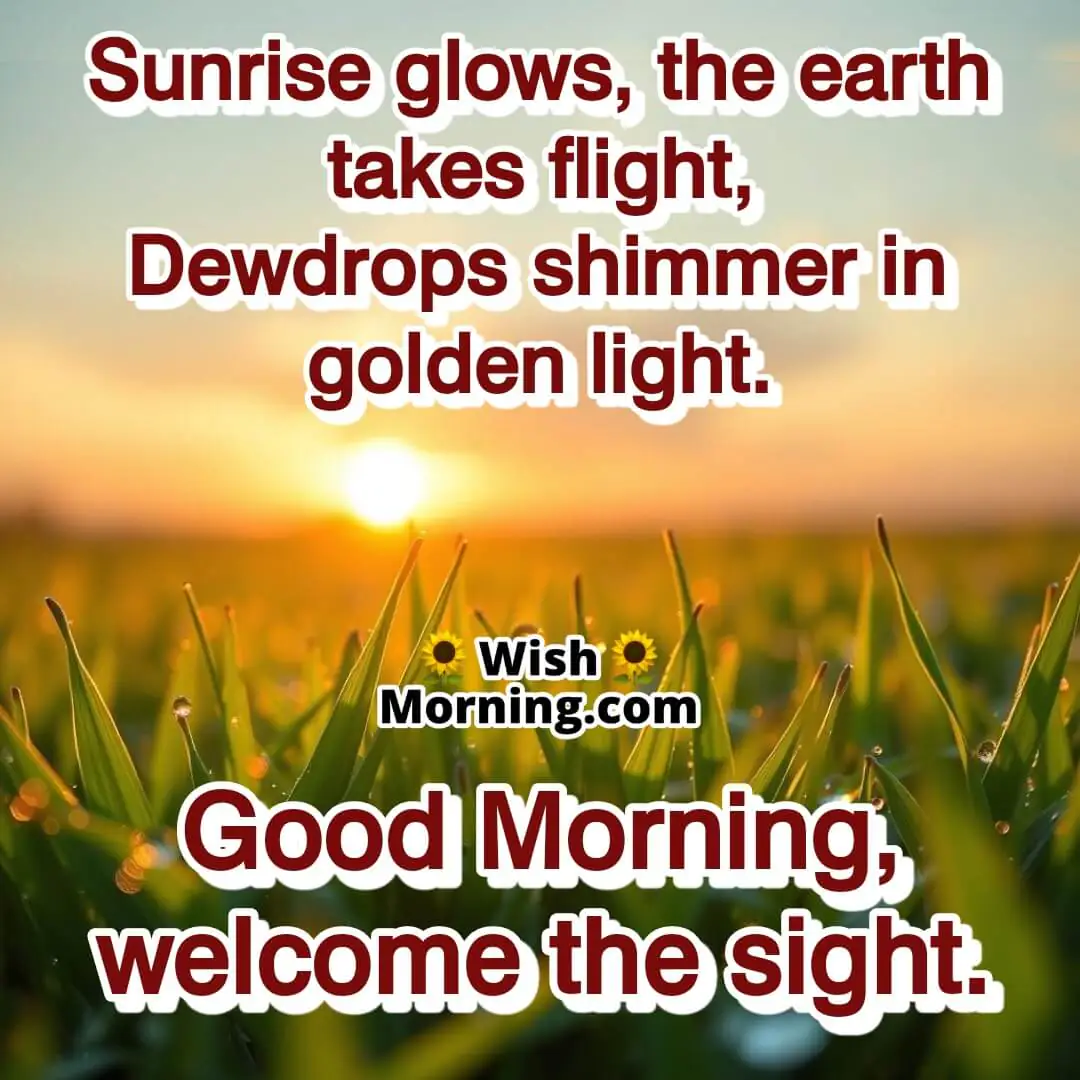 Dewdrops shimmering under a golden sunrise, symbolizing freshness and renewal.