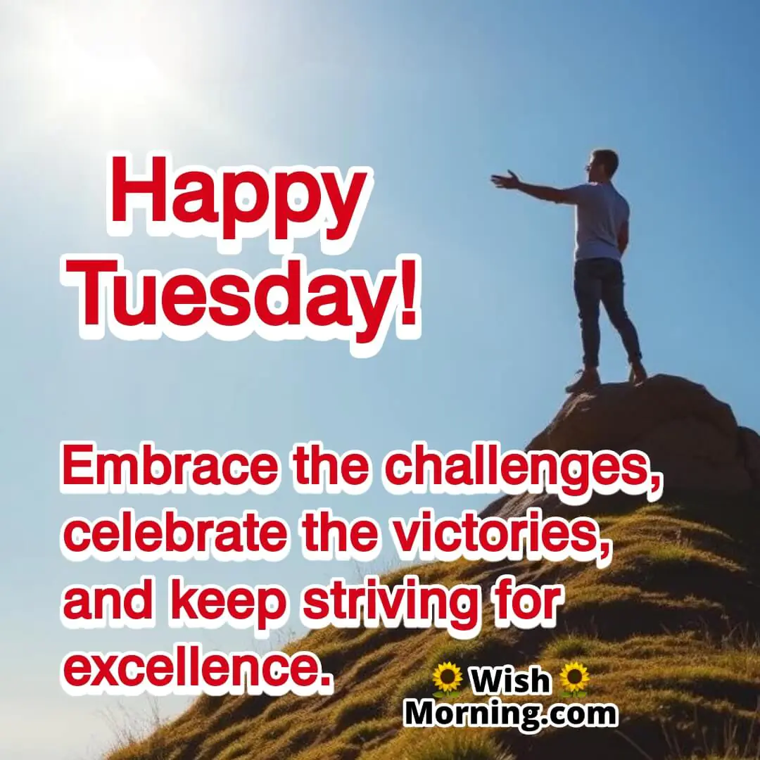 A person standing on a hilltop at sunrise, symbolizing success and determination on Tuesday.