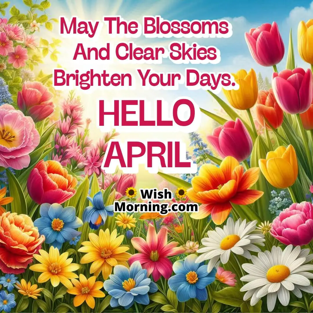 Hello April Cherry Blossoms And Clear Skies Wish