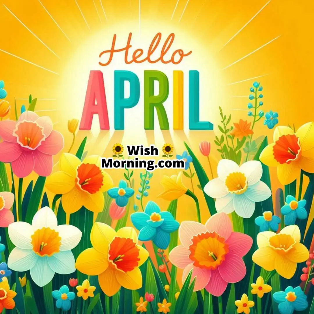 Hello April Daffodils Flowers