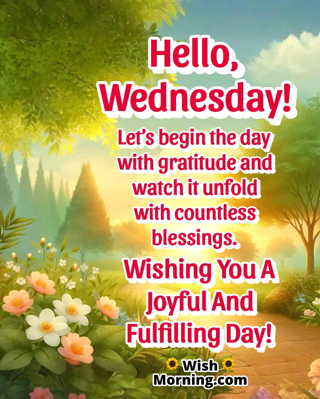 Wednesday morning scene with sunlight and blooming flowers, symbolizing gratitude and blessings.