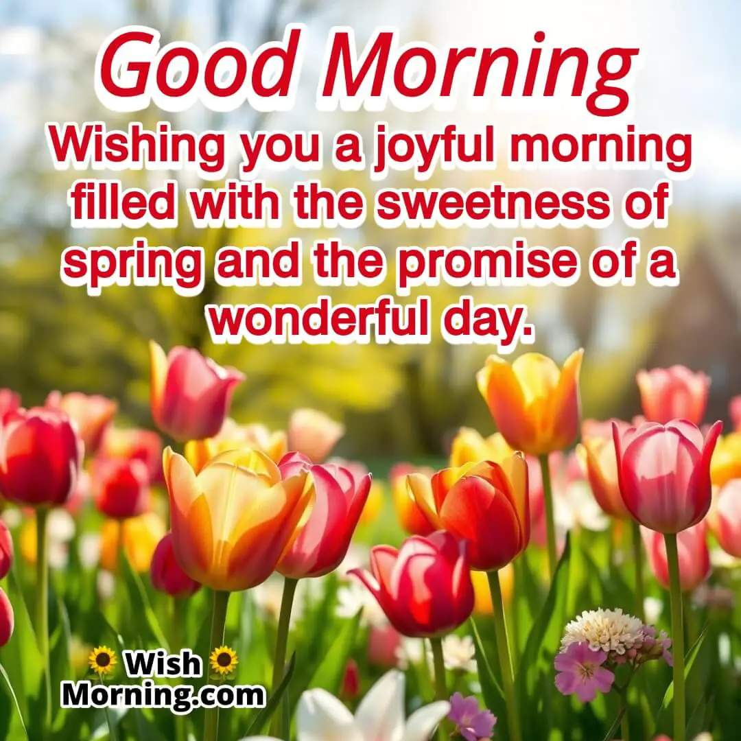 Joyful Spring Morning Wish With Flowers