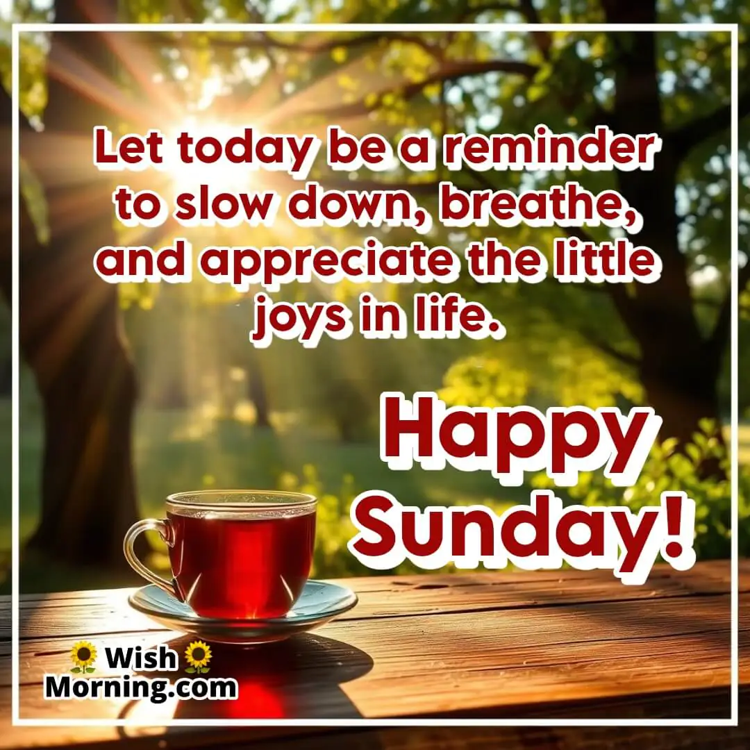 A serene Sunday morning with sunlight filtering through trees, symbolizing relaxation and appreciation of life’s small joys.
