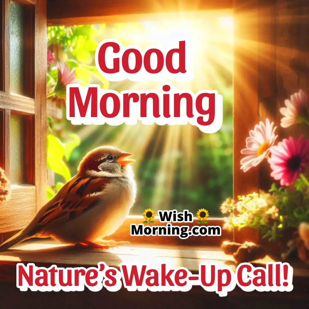 Sparrow chirping on a sunny window sill with morning flowers.