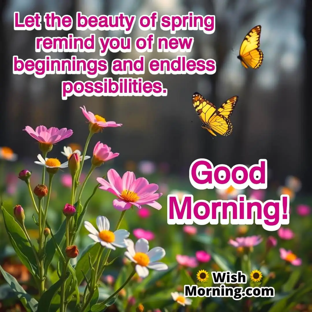Spring Morning Message Of New Beginnings