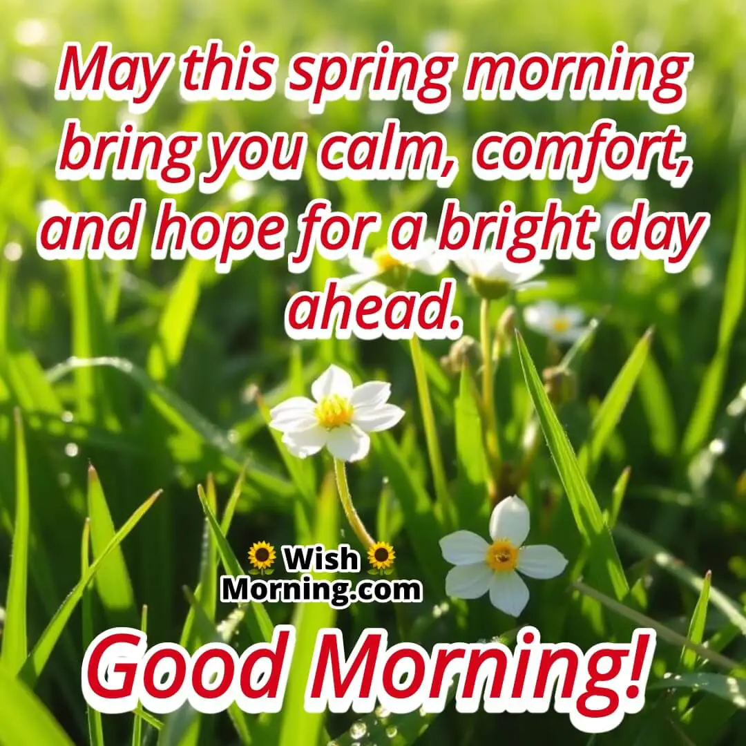 Spring Morning Wish For Bright Day