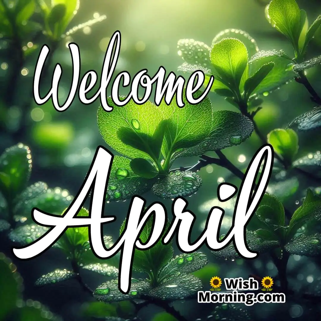 Welcome April Raindrops On Fresh Green Leaves