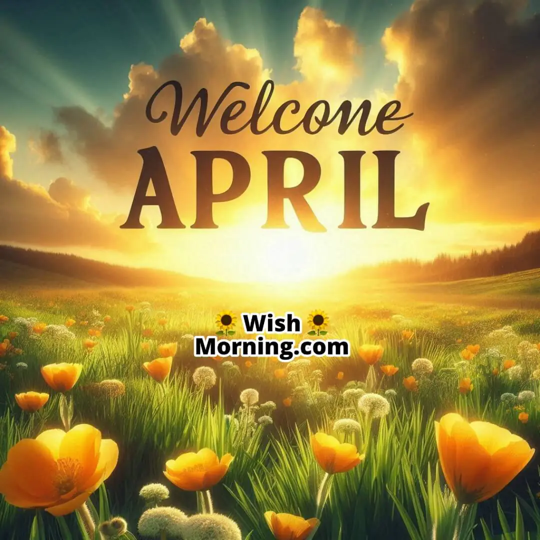 Welcome April Sunrise Over Spring Meadow Image