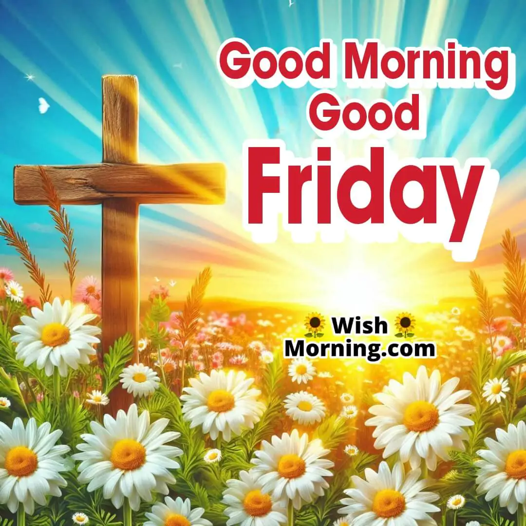 Good Morning Good Friday With Daisies And Sunlight