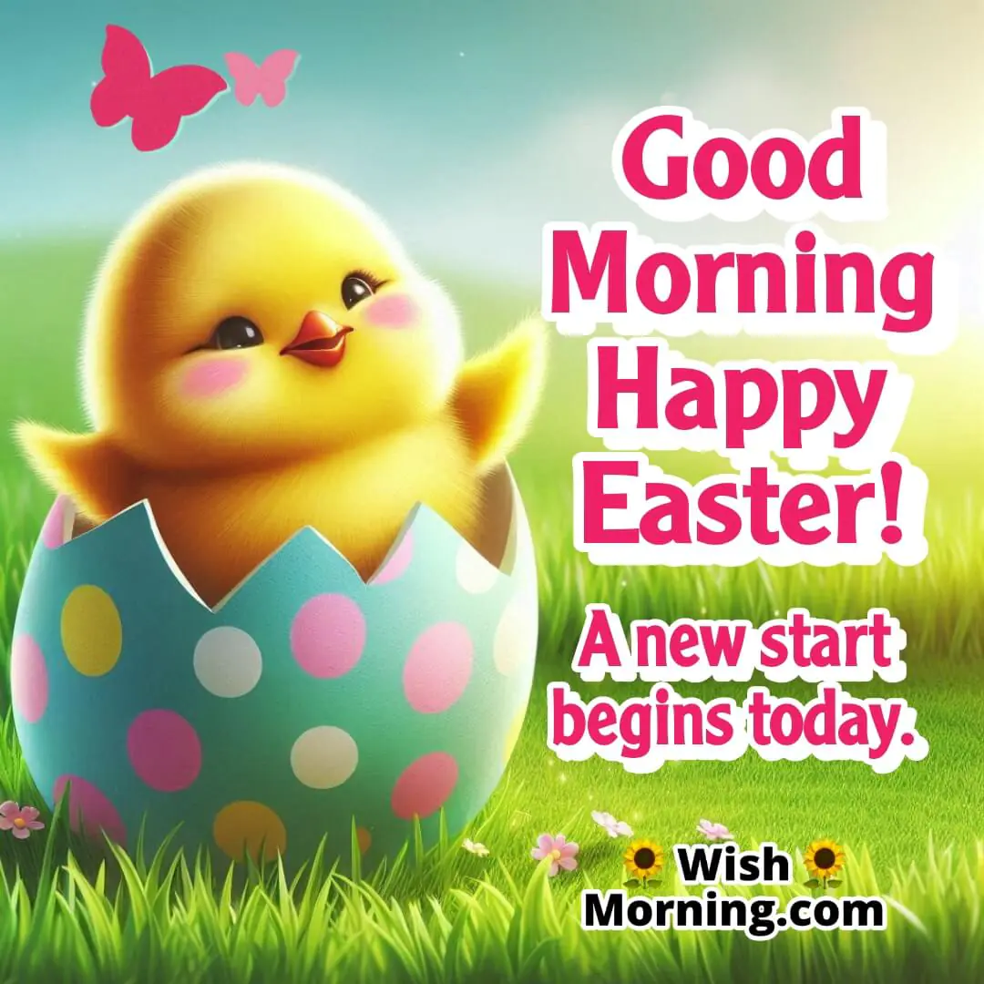 A happy Easter morning with a hatching chick symbolizing new beginnings.