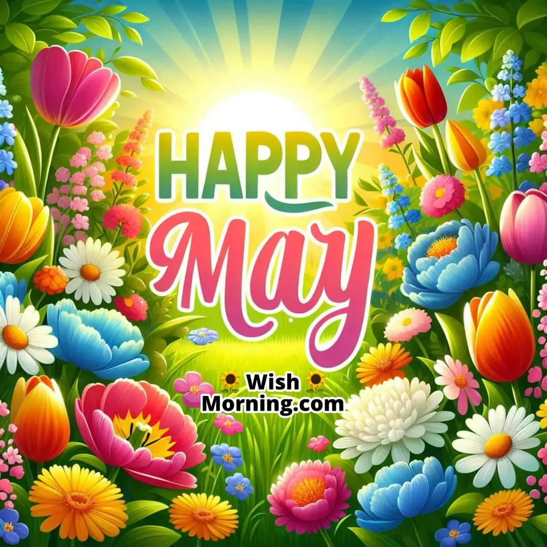 Happy May With Blooming Flowers