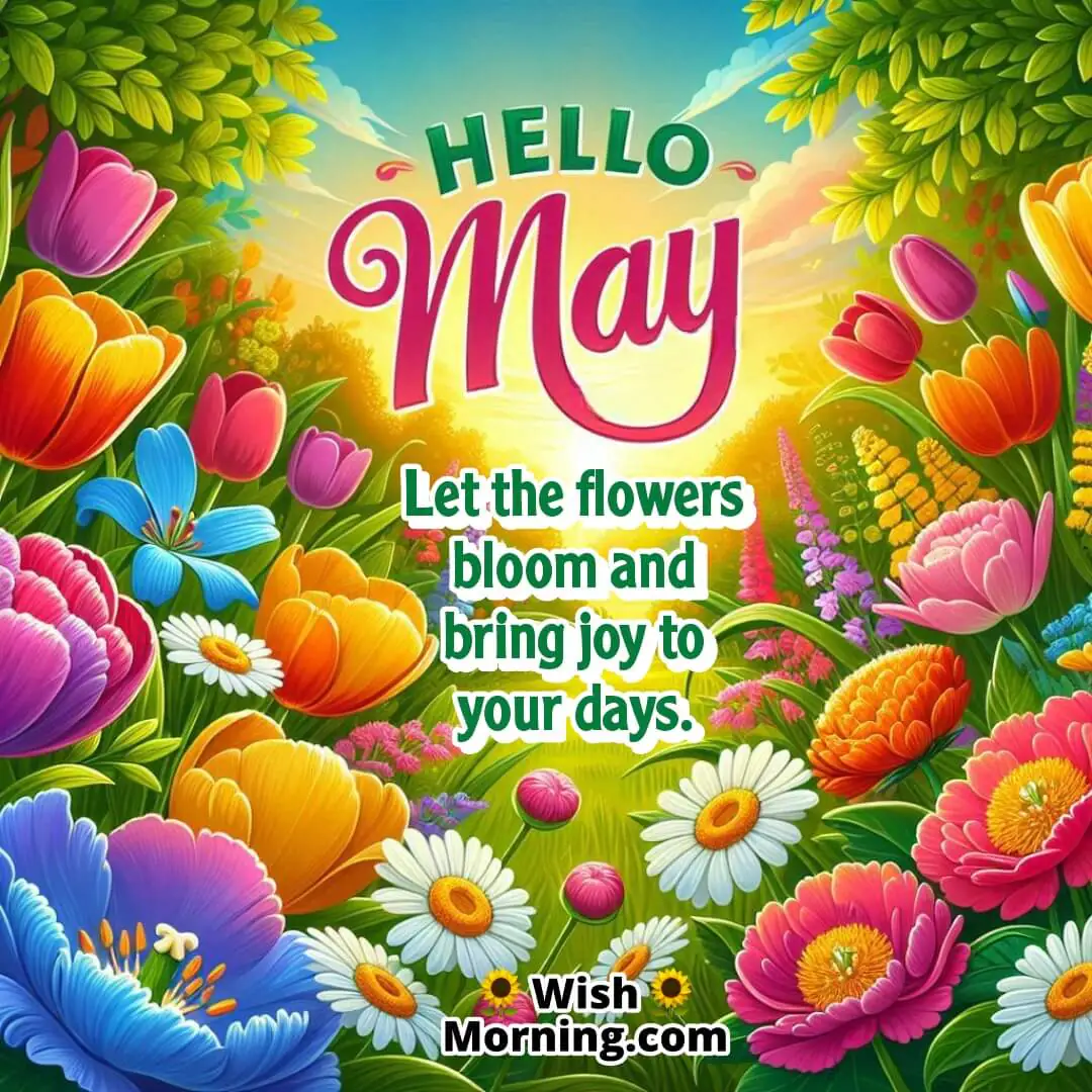 Hello May Blooming Flowers Wish Image