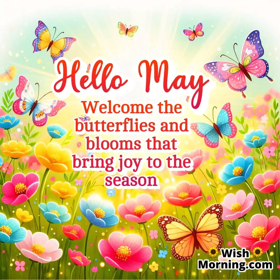 Hello May Butterflies And Blooming Flowers Wish