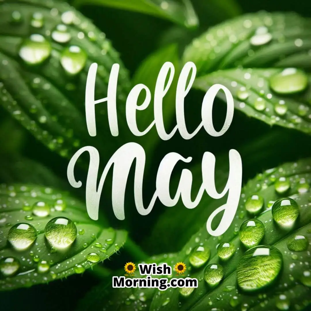 Refreshing raindrops on green leaves symbolizing May’s nurturing touch and renewal.