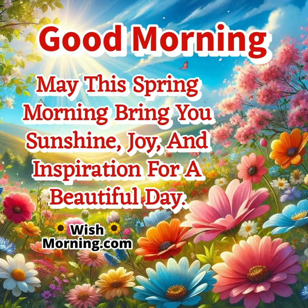 Sunny And Joyful Spring Morning Wish