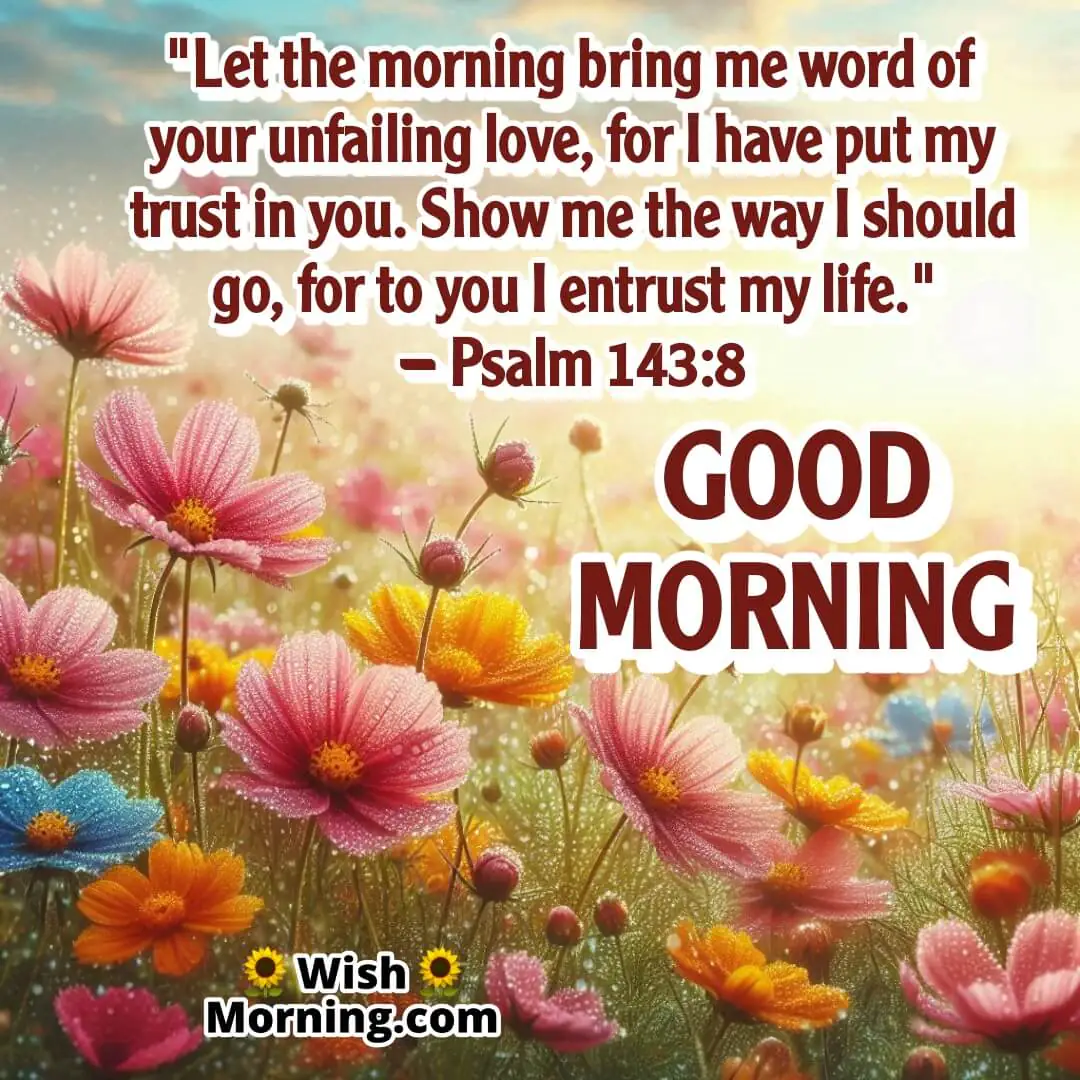 Trust God's Love Each Morning