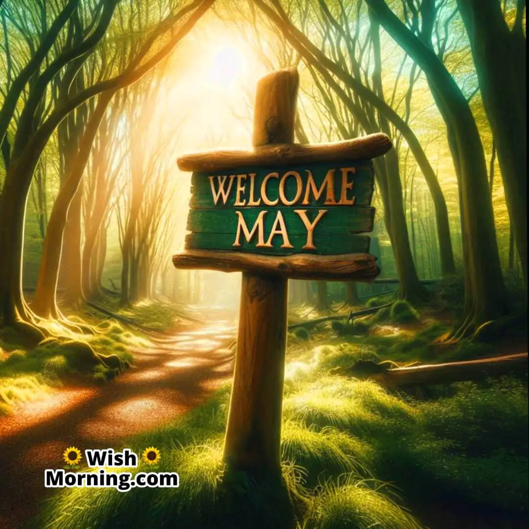 Lush forest path welcoming a bright and hopeful May.