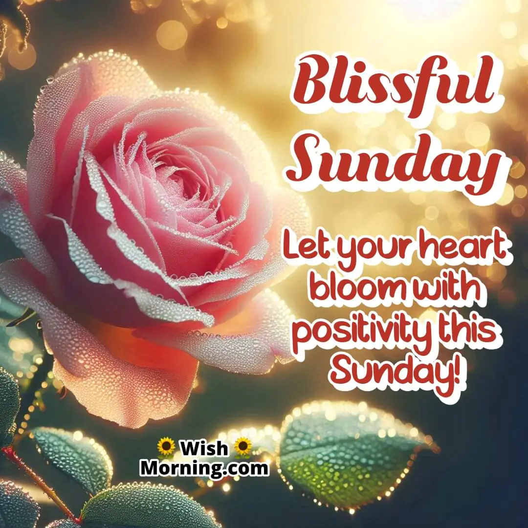 Blissful Sunday Morning Blooming Wish