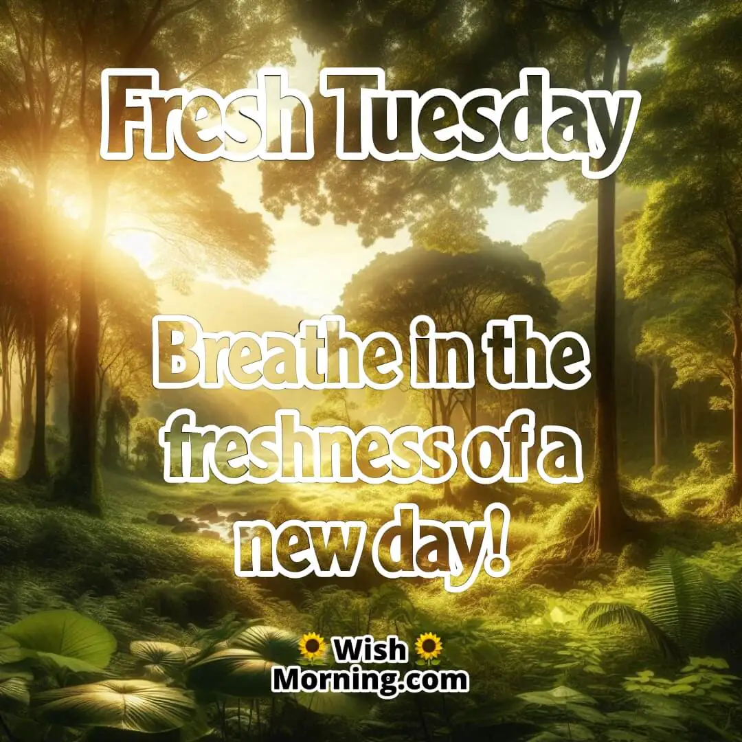 Tuesday Good Morning Coffee Motivation