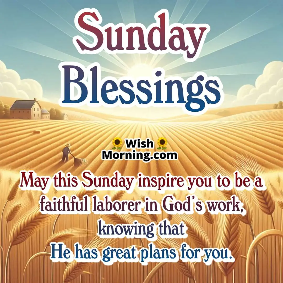 Sunday Blessings image featuring countryside harvest field and laborers, symbolizing God's call to purpose.