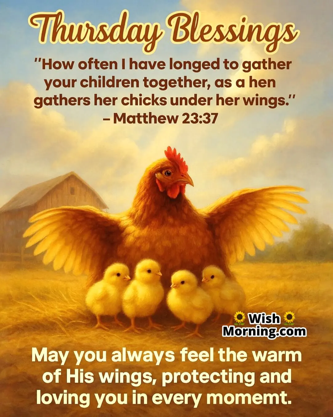 Thursday Blessings – A tender scene of a hen gathering her chicks reflects God’s loving protection and care.