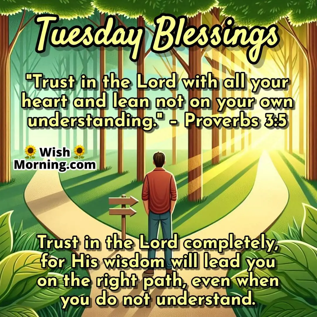 Tuesday Blessing with forked forest path and sunlight, symbolizing God’s wisdom and trust – Proverbs 3:5.