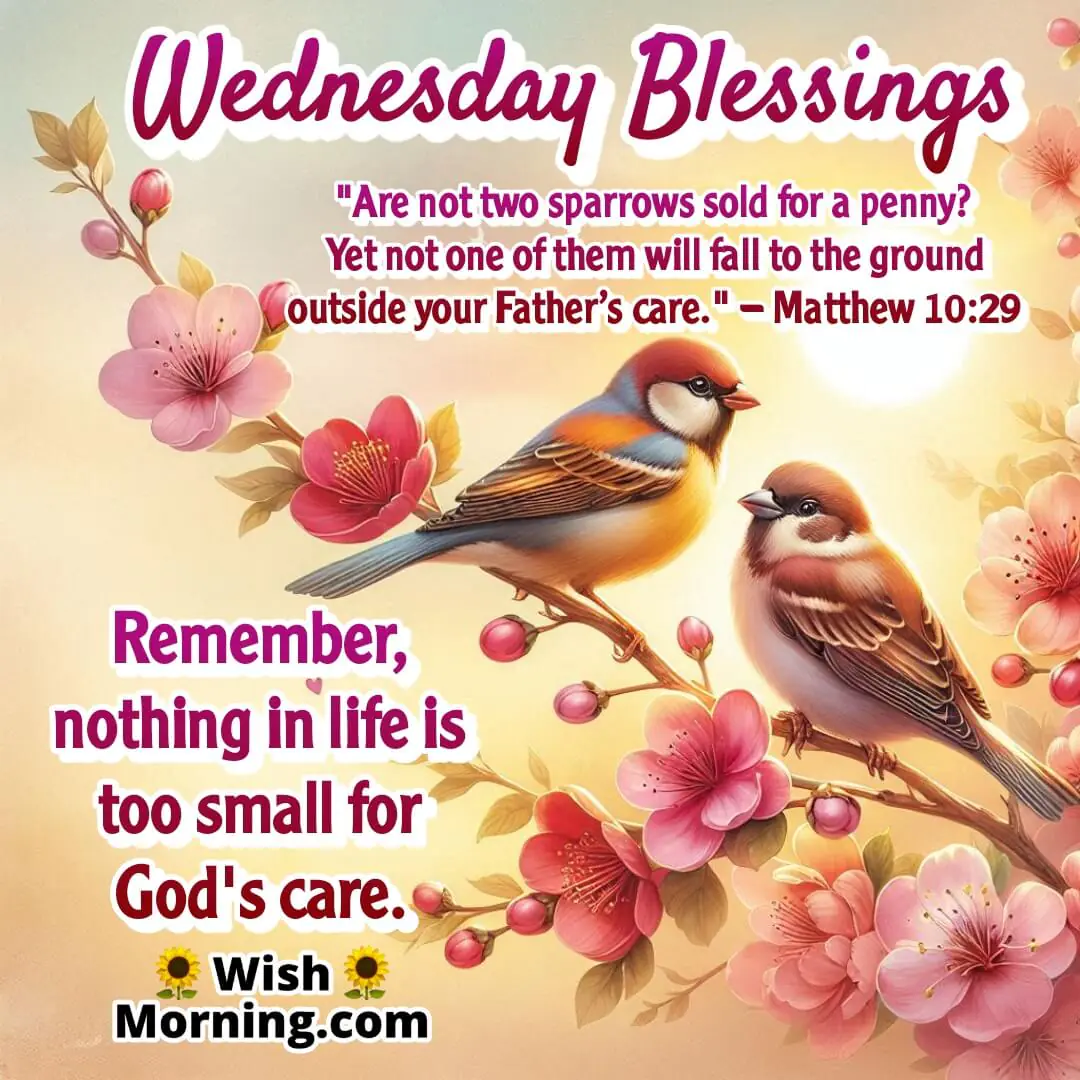Wednesday Blessing image showing sparrows in morning light, symbolizing God's caring watchfulness – Matthew 10:29.