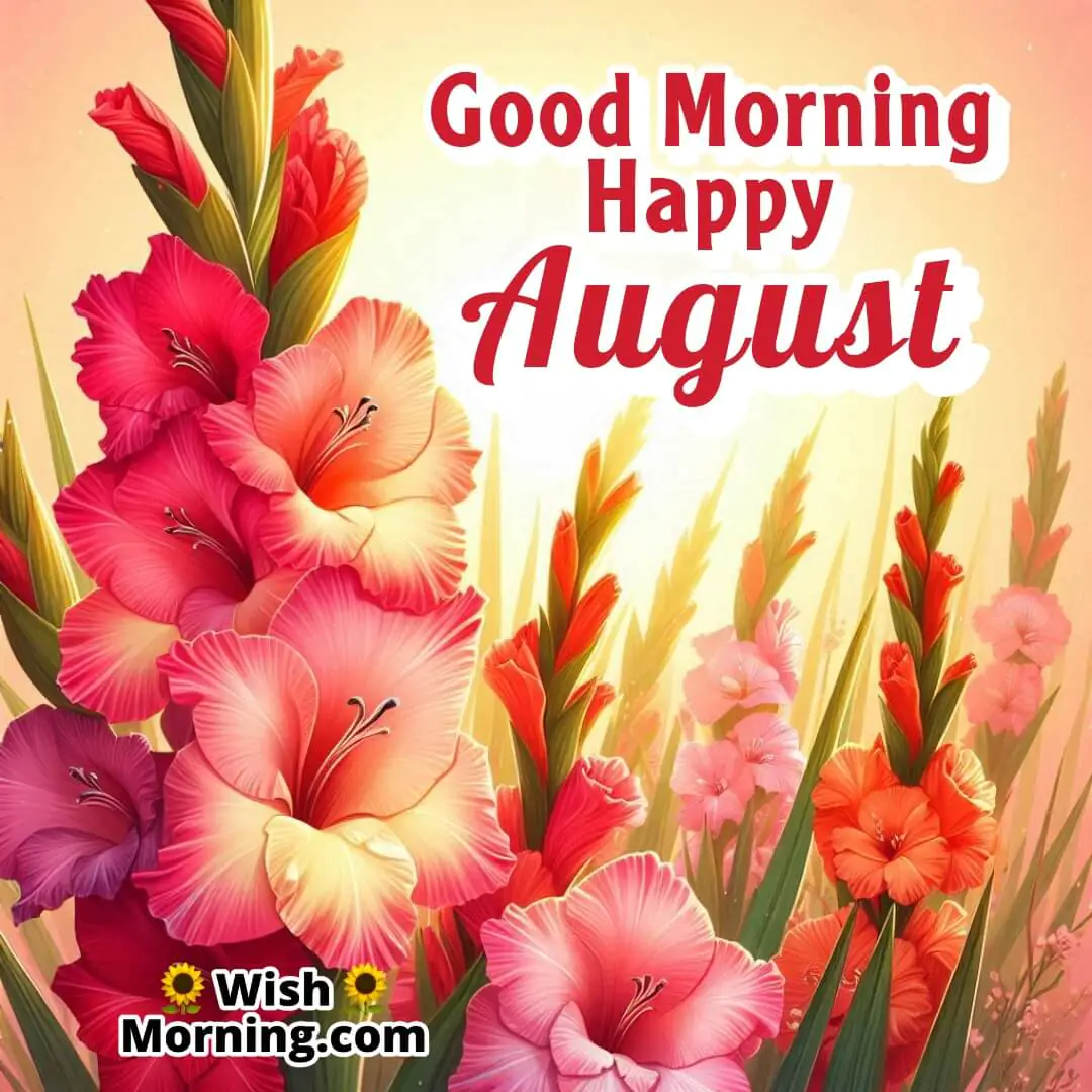 Good Morning Happy August Gladiolus In Full Bloom